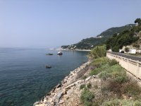 IMG_7924.jpeg