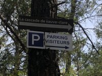 IMG_7936.jpeg