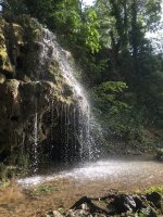 IMG_7939.jpeg