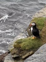 IMG_5392.jpeg IMG_5392.jpeg