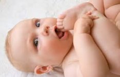 IMG_7965.jpeg