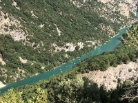 IMG_7981.jpeg