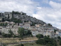IMG_8011.jpeg