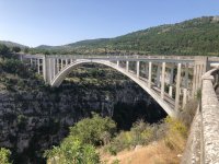 IMG_8022.jpeg