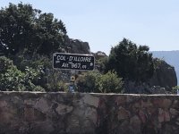 IMG_8030.jpeg