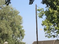 IMG_8038.jpeg