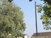 IMG_8037.jpeg