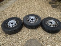 IMG_3173.jpeg IMG_3173.jpeg