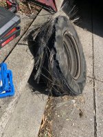 IMG_3226.jpeg