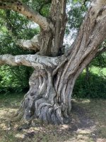 IMG_8187.jpeg