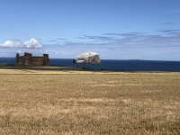 IMG_8200.jpeg