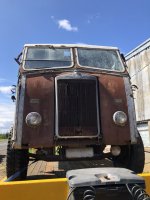 IMG_8201.jpeg