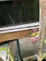 IMG_2273.jpeg IMG_2273.jpeg