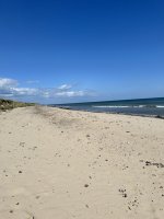 IMG_2154.jpeg