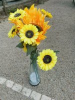 IMG_20250820_152037.jpg