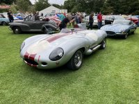 IMG_5347.jpeg