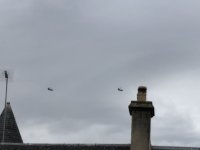 IMG_8328.jpeg