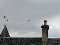 IMG_8327.jpeg