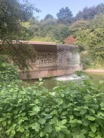 IMG_6175.jpeg