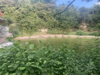 IMG_6176.jpeg