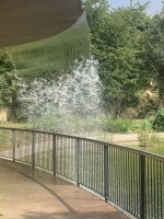 IMG_6178.jpeg
