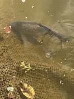 IMG_6182.jpeg