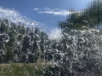 IMG_6186.jpeg