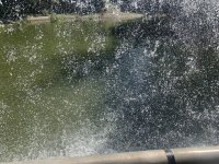 IMG_6187.jpeg