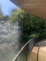IMG_6188.jpeg