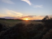 IMG_8356.jpeg