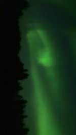 IMG_2279.jpeg