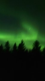 IMG_2278.jpeg