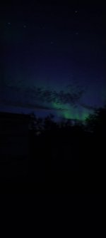 9c730a98-af87-49d3-841c-b14758f32312.jpeg