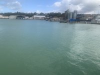 IMG_6219.jpeg