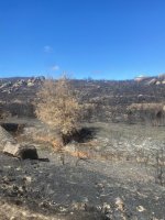 IMG_0498.jpeg