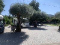 IMG_3286.jpeg