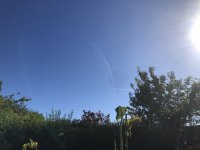 IMG_8401.jpeg