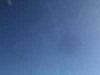 IMG_8399.jpeg