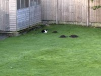 IMG_5465.jpeg
