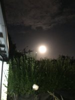 IMG_8459.jpeg