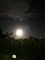 IMG_8458.jpeg