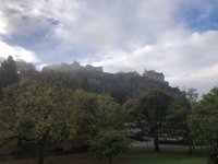 IMG_8490.jpeg