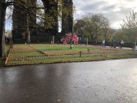IMG_8495.jpeg