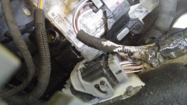 FC43203A-30D6-4C82-9CCE-4D86EAB5ECC5.jpeg FC43203A-30D6-4C82-9CCE-4D86EAB5ECC5.jpeg