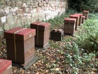 IMG_8555.jpeg IMG_8555.jpeg