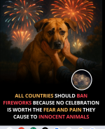 Screenshot 2025-11-10 20.59.48.png