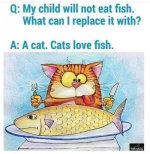 12599-4c728bb5f409a5e99426d49473bdb8e1.jpeg