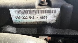 IMG_8397.jpeg