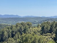 IMG_0826.jpeg