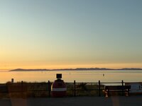 IMG_7342.jpeg